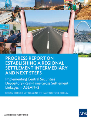 cover image of Progress Report on Establishing a Regional Settlement Intermediary and Next Steps